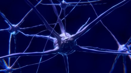 Encephalitis, encephalitis symptoms, encephalitis lethargica, encephalitis vs meningitis, encephalitis treatment, encephalitis causes, Japanese encephalitis, autoimmune encephalitis, Japanese encephalitis vaccine, viral encephalitis, eastern equine encephalitis, encephalitis and COVID, encephalitis after COVID, encephalitis autoimmune, encephalitis and encephalomyelitis, encephalitis and meningitis, encephalitis awakenings, encephalitis and autism, encephalitis alcohol, encephalitis after flu, encephalitis and dementia, anti-NMDA receptor encephalitis, autoimmune encephalitis symptoms, acute encephalitis syndrome, autoimmune encephalitis treatment, acute encephalitis, anti-NMDA receptor encephalitis symptoms, autoimmune encephalitis panel, amoebic encephalitis, autoimmune encephalitis ICD-10, encephalitis baby, encephalitis blood test, encephalitis brain damage, encephalitis brain, encephalitis brain on fire, encephalitis breakdown, encephalitis baby head, encephalitis B vaccine, encephalitis bacteria, Bickerstaff encephalitis, brain encephalitis, basal ganglia encephalitis, Bickerstaff encephalitis triad, basal ganglia encephalitis symptoms, Bickerstaff encephalitis radiology, Balamuthia encephalitis, Bickerstaff encephalitis treatment, Bali Japanese encephalitis, encephalitis COVID, encephalitis caused by COVID, encephalitis clock, encephalitis contagious, encephalitis cure, encephalitis CT scan, encephalitis causes in adults, encephalitis child, encephalitis cats, Chandipura virus encephalitis, causes of encephalitis, CMV encephalitis, COVID encephalitis, caprine arthritis encephalitis, can encephalitis be cured, can herpes encephalitis be cured, cerebritis vs encephalitis, complications of encephalitis, chronic focal encephalitis, encephalitis definition, encephalitis diagnosis, encephalitis dog, encephalitis disease, encephalitis death rate, encephalitis def, encephalitis Dr. Sayer, encephalitis diagnostic test, encephalitis definition medical, encephalitis dementia, dengue encephalitis, define encephalitis, difference between meningitis and encephalitis, dengue encephalitis radiology, dengue encephalitis treatment, do I need Japanese encephalitis vaccine, diabetes encephalitis, does encephalitis go away, difference between encephalitis and encephalopathy, DPPX encephalitis, encephalitis epidemic, encephalitis etymology, encephalitis eye symptoms, encephalitis etiology, encephalitis eyes, encephalitis encephalopathy, encephalitis esophagus, encephalitis EEG, encephalitis equine, encephalitis epilepsy, eastern equine encephalitis EEE virus, eastern equine encephalitis death, eastern equine encephalitis symptoms, health news, wellness news,