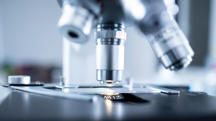 Poliovirus in Pakistan: Virus detected in environmental samples from four provinces