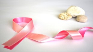 Breast cancer, breast cancer symptoms, breast cancer stages, breast cancer awareness, breast cancer ribbon, breast cancer screening, breast cancer rash, breast cancer lump, breast cancer treatment, breast cancer gene, breast cancer month, breast cancer awareness month, breast cancer awareness day, breast cancer awareness month 2024, breast cancer and alcohol, breast cancer age, breast cancer awareness ribbon, breast cancer association, breast cancer awareness shirts, breast cancer armpit lump, a breast cancer survivor, about breast cancer, awareness of breast cancer, avoid breast cancer, about breast cancer in Hindi, are breast cancer curable, about breast cancer symptoms, a sign of breast cancer, are breast cancer painful, are breast cancer genetic, breast cancer biopsy, breast cancer breakthrough, breast cancer bracelets, breast cancer bumps, breast cancer blood test, breast cancer bras, breast cancer blood markers, breast cancer boobs, breast cancer bruise pictures, bilateral breast cancer, blood test for breast cancer, BRCA breast cancer, bone metastasis breast cancer, breast cyst vs breast cancer, breast pain breast cancer, breast with breast cancer, best type of breast cancer to have, blood test for breast cancer recurrence, bracelets for breast cancer, breast cancer causes, breast cancer cure, breast cancer clinical trials, breast cancer chemotherapy, breast cancer charity, breast cancer color, breast cancer center near me, breast cancer center, breast cancer check, breast cancer care package, can men get breast cancer, causes of breast cancer, causes of breast cancer in unmarried girls, can breast cancer be cured, check for breast cancer, cancer org breast cancer, common breast cancer, cancer org breast cancer statistics, cancer vaccine breast cancer, cancer treatment for breast cancer, breast cancer drugs, breast cancer diagnosis, breast cancer death, breast cancer donations, breast cancer donation pick up, breast cancer doctors near me, breast cancer day, breast cancer doctor, breast cancer diet, breast cancer DCIS, DCIS breast cancer, does breast cancer hurt, do breast cancer lumps hurt, do men get breast cancer, different types of breast cancer, definition of breast cancer, Danielle Fishel breast cancer, does breast cancer pain come and go, diagnosis of breast cancer, drugs for breast cancer, breast cancer emergency fund, breast cancer early signs, breast cancer emoji, breast cancer estrogen positive, breast cancer ER and PR positive, breast cancer exam, breast cancer early detection, breast cancer estrogen blocker, breast cancer earrings, breast cancer epidemiology, early signs of breast cancer pictures., health news, cancer news, wellness news,