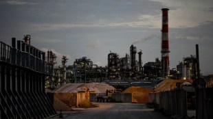 JSW Steel share price today, February 20