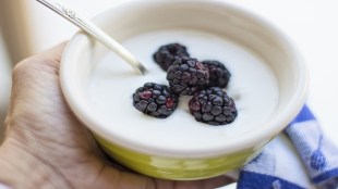 Yogurt benefits, Greek yogurt benefits, plain yogurt benefits, probiotic yogurt benefits, kefir yogurt benefits, plain yogurt benefits for females, coconut yogurt benefits, Activia yogurt benefits, natural yogurt benefits, eating yogurt benefits, Greek yogurt benefits for dogs, yogurt benefits and side effects, yogurt benefits at night, yogurt benefits and side effects for females, yogurt benefits after workout, yogurt Activia benefits, yogurt and benefits, coconut yogurt benefits and disadvantages, Greek yogurt benefits and side effects, kefir yogurt benefits and side effects, probiotic yogurt benefits and side effects, apple with yogurt benefits, Activia probiotic yogurt benefits, A2 yogurt benefits, avocado and yogurt benefits, Actimel yogurt benefits, almond yogurt benefits, almond milk yogurt benefits, Activia fiber yogurt benefits, activated charcoal yogurt benefits, yogurt benefits before bed, yogurt benefits baby, yogurt benefits breastfeeding, yogurt benefits brain, yogurt banana benefits, yogurt bowl benefits, yogurt bacteria benefits, yogurt blueberry benefits, yogurt bath benefits, yogurt body benefits, blueberry yogurt benefits, banana and yogurt benefits, Bulgarian yogurt benefits, beetroot with yogurt benefits, bio yogurt benefits, buffalo yogurt benefits, body yogurt benefits, Balkan yogurt benefits, baked yogurt benefits, blueberry Greek yogurt benefits, yogurt benefits constipation, yogurt benefits cholesterol, yogurt cream benefits, yogurt cultures benefits, yogurt capsules benefits, yogurt curd benefits, yogurt calcium benefits, yogurt chips benefits, yogurt cult benefits, yogurt curry benefits, cinnamon and plain yogurt benefits, coconut cult yogurt benefits, Chobani yogurt benefits, Cimory yogurt benefits, chia seeds in yogurt benefits, cashew yogurt benefits, cinnamon and plain yogurt benefits for females, cucumber with yogurt benefits, yogurt benefits during pregnancy, yogurt benefits diabetes, yogurt benefits digestion, yogurt benefits dogs, yogurt benefits daily, yogurt diet benefits, yogurt drink benefits and side effects, yogurt drink benefits for skin, yogurt douche benefits, yogurt healthy dessert, dates with yogurt benefits, Dutch Mill yogurt benefits, drinking yogurt benefits, double cream plain yogurt benefits, dragon fruit and yogurt benefits, dry yogurt benefits, dairy-free yogurt benefits, dahi yogurt benefits, dog yogurt benefits, daily eat yogurt benefits, yogurt benefits empty stomach, yogurt benefits everyday, yogurt benefits early morning, yogurt benefits eating, yogurt eating benefits for skin, yogurt enema benefits, yogurt eating benefits for hair, yogurt healthy eating, Greek yogurt benefits early morning, yogurt benefits in English, Epigamia Greek yogurt benefits, eating yogurt benefits for skin, colon cancer, health news, wellness news,