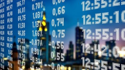 multibagger stocks, bear market, portfolio of stocks, new stocks to buy, BSE smallcap index, attractive stocks, undervalued stocks, future multibagger stocks
