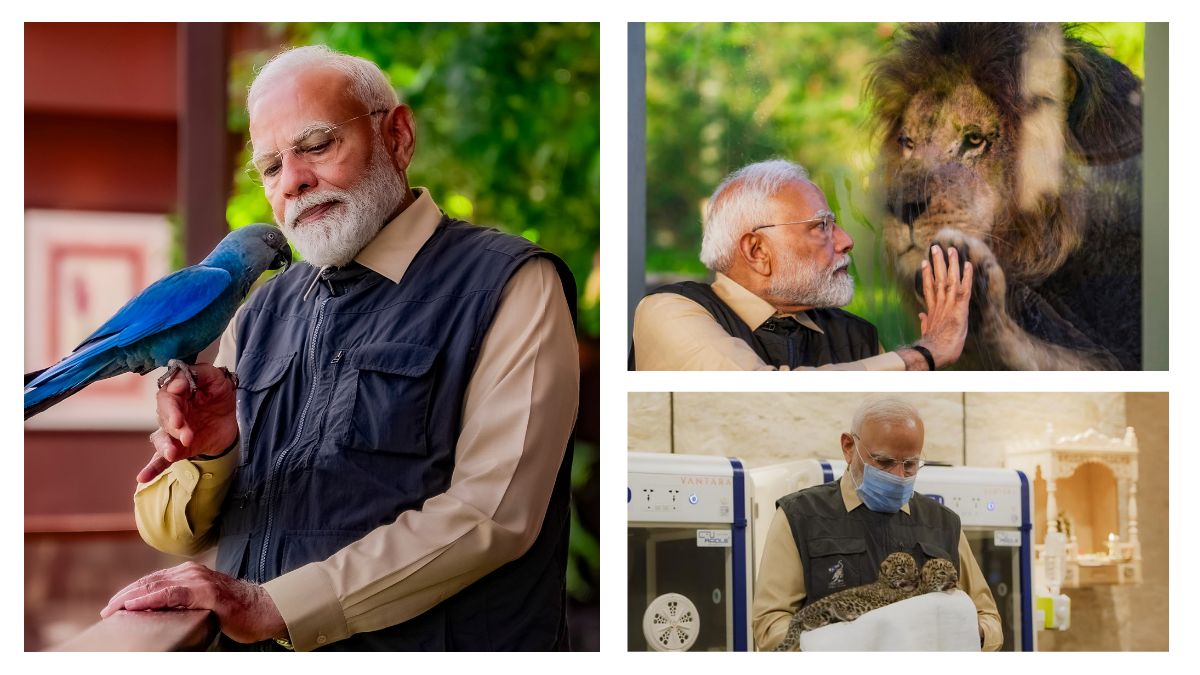 vantara, pm modi in vantara, jamnagar, pm modi in jamnagar, reliance foundation, reliance industries,