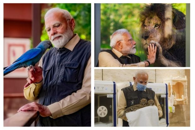 On March 4, PM Narendra Modi inaugurated animal rescue centre, Vantara in Gujarat's Jamnagar. The conversation and rehabilitation efforts are being overlooked by Reliance Industries and the Reliance Foundation. The inauguration was attended by the Ambani family including Chairman Mukesh Ambani with his wife, Nita Ambani. Anant Ambani with his wife, Radhika Merchant were also present during the visit of the premises. PM Modi visited the MRI, CT Scan and ICU facilities as well. Glimpses of heart-warming interactions between the PM and Vantara's rescued animals were shared.