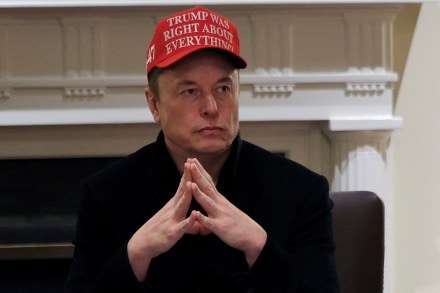 Elon Musk, DOGE, department of government efficiency, donald trump