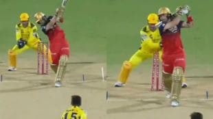 dhoni stumping, ms dhoni, ipl 2025, dhoni stumping rcb, ms dhoni stumping phil salt, sports