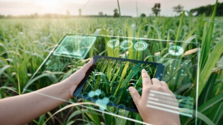 The future of B2B food innovation: Trends to watch