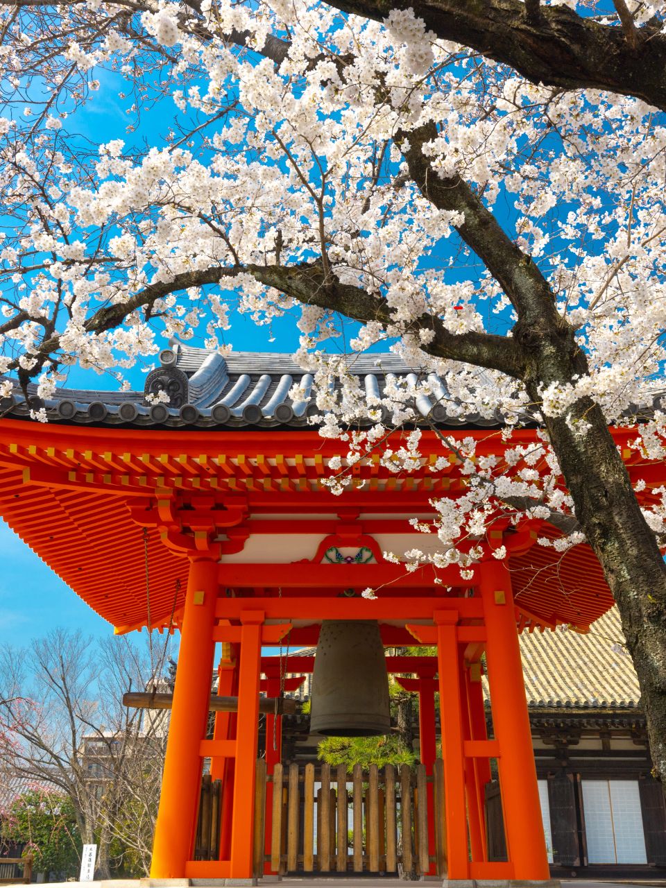 Japanese techniques to overcome laziness, Ikigai for motivation, Kaizen self-improvement, Shinrin Yoku forest therapy, Shoshin beginner's mindset, Wabi Sabi embracing imperfection, Japanese productivity methods, how to beat procrastination, traditional Japanese habits, mindfulness techniques from Japan, Japanese work ethic secrets.