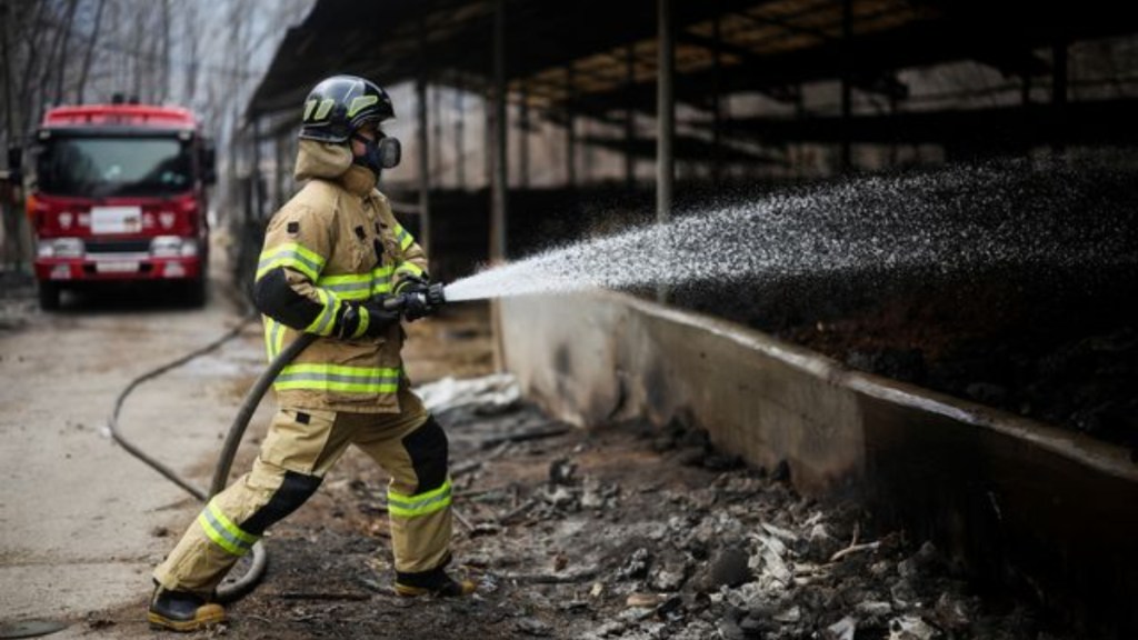 South Korea Wildfires