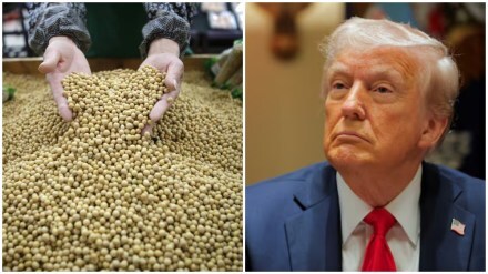 China countermeasures on US agriculture products