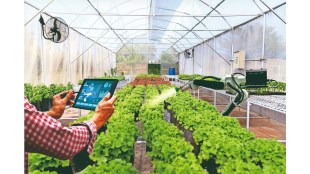 AI-Driven Modern Farming. (Image Source: Getty Images)