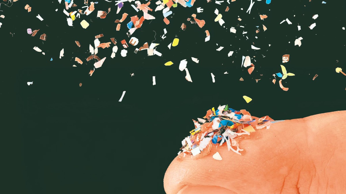 Microplastic a widespread problem . (Image Source: File Photo)