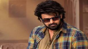 Prabhas wedding news