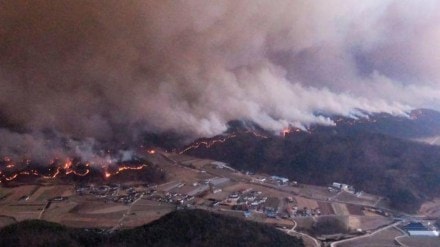 south korea fire, wildfires in south korea, south korea, buddha temple in south korea, world news