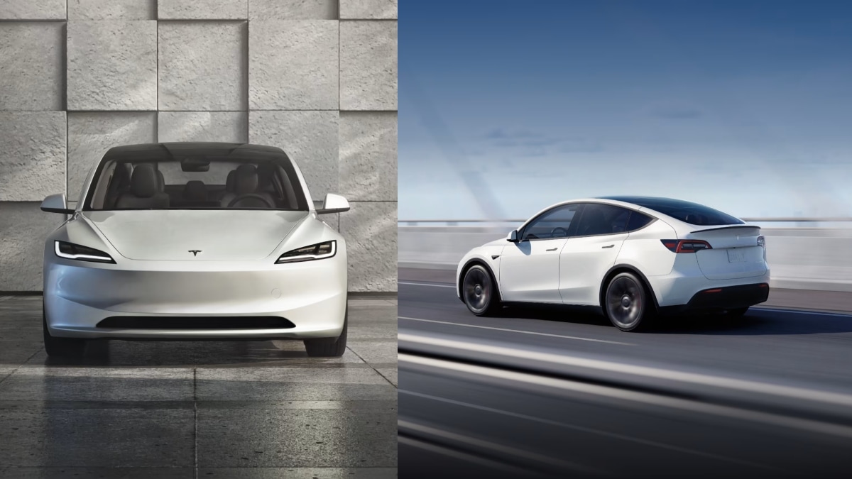 Tesla Model 3 Model Y