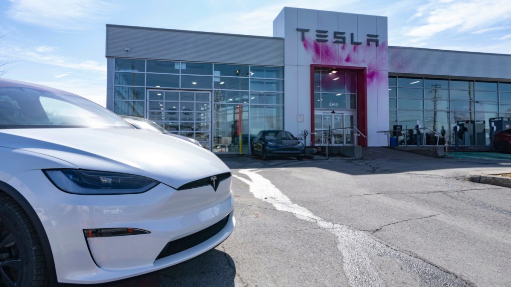 Tesla pink paint