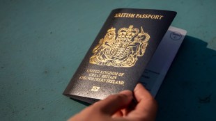 UK citizenship applications, US, US-UK, Immigration, trump, donald trump,