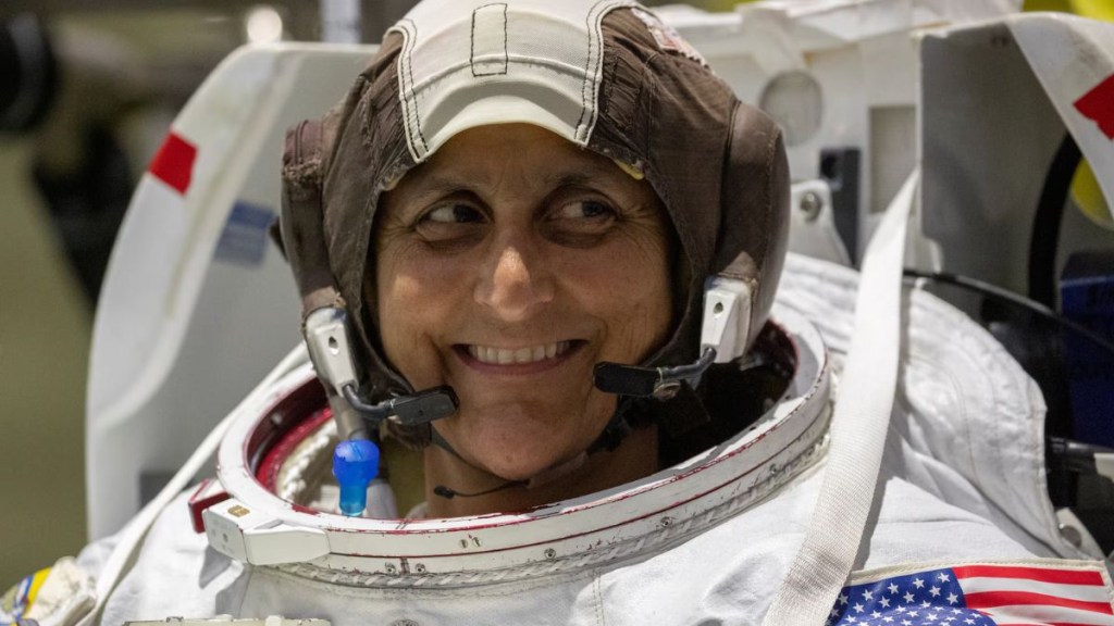 Sunita Williams and Michael Love Story