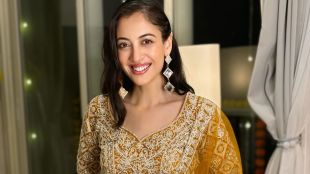 Aditi Sharma divorce