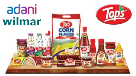 The company’s EBITDA for the same period stood at Rs 32 crore. The company’s EBITDA for the same period stood at Rs 32 crore.