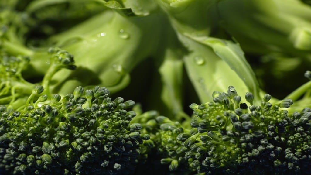 Broccoli and diabetes, beef and broccoli diabetes, steamed broccoli diabetes, chicken and broccoli diabetes, Chinese chicken and broccoli diabetes, raw broccoli diabetes, Chinese broccoli diabetes, broccoli diabetes type 2, broccoli diabetes type 1, broccoli and diabetes, broccoli and diabetes type 2, broccoli and diabetes 2, diabetic broccoli and cheese soup, diabetic broccoli and stilton soup, diabetic broccoli and cheese, broccoli sprouts and diabetes, raw broccoli and diabetes, does broccoli affect blood sugar, is broccoli good for diabetics, is broccoli and cauliflower good for diabetes, broccoli cheese soup and diabetes, beef and broccoli gestational diabetes, broccoli and gestational diabetes, broccoli and cauliflower for diabetes, broccoli benefits diabetes, broccoli beef diabetes, is broccoli bad for diabetics, broccolini diabetes, broccoli benefits for diabetes, is broccoli bad for diabetes, broccoli health benefits for diabetes, which is better for diabetes broccoli or cauliflower, broccoli good or bad for diabetes, broccoli cheese diabetes, diabetic broccoli cheese soup, diabetic broccoli casserole, diabetic broccoli cheddar soup, diabetic broccoli cauliflower salad recipe, does broccoli cause diabetes, can broccoli cause diabetes, gestational diabetes broccoli cheddar soup, how to cook broccoli for diabetes, can you eat broccoli with diabetes, can diabetes eat broccoli, broccoli cheddar soup diabetes, can broccoli help prevent diabetes, can I eat broccoli with gestational diabetes, broccoli for diabetic dogs, does broccoli good for diabetes, is broccoli good for dogs with diabetes, how does broccoli help diabetes, can dogs with diabetes eat broccoli, broccoli during gestational diabetes, what does broccoli do for diabetes, is broccoli good for diabetes type 2, how much broccoli can a diabetic eat, broccoli diabetes Reddit, broccoli diabetic recipes, diabetes broccoli soup, diabetic broccoli salad, can people with diabetes eat broccoli, broccoli en diabetes, can you eat broccoli with gestational diabetes, can we eat broccoli in diabetes, eating broccoli with diabetes, diabetes patient can eat broccoli, broccoli for diabetes, broccoli for diabetes patient, is broccoli diabetic friendly, broccoli salad diabetic friendly, broccoli soup for diabetes, broccoli sprouts for diabetes, broccoli recipe for diabetes, broccoli bad for diabetes, is broccoli good for diabetes, is broccoli good for gestational diabetes, is broccoli good for diabetes patients, is broccoli good for people with diabetes, is broccoli good for type 1 diabetes, broccoli gestational diabetes, is broccoli good to eat for diabetics, is broccoli soup good for diabetes, is broccoli good for pre-diabetes, does broccoli help diabetes, how to prepare broccoli for diabetes, diabetes mein broccoli kha sakte hain, how to eat broccoli for diabetes, can I eat broccoli if I have diabetes, diabetes me broccoli kha sakte hai, is broccoli healthy for diabetes, broccoli in diabetes, broccoli benefits in diabetes, is broccoli ok for diabetes, broccoli rabe diabetes, is broccoli good for diabetes 2, broccoli nutrition diabetes, why is broccoli not good for diabetes, benefits of broccoli for diabetes, is broccoli okay for diabetes, health benefits of broccoli for diabetes, health news, wellness news,