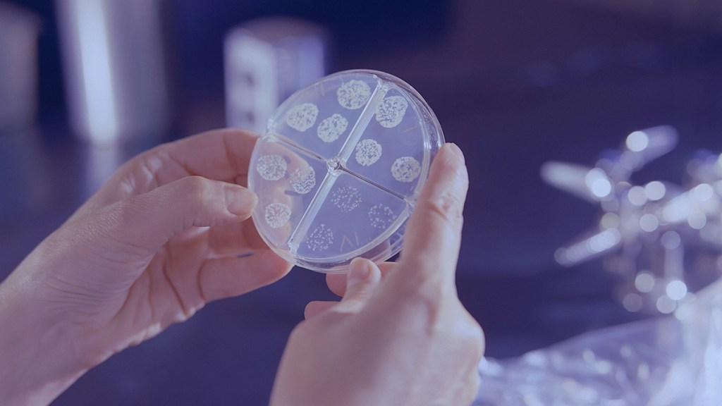 Tuberculosis India, sustainable development goals tuberculosis India, latent tuberculosis India, treatment of tuberculosis India, bovine tuberculosis India, Mycobacterium tuberculosis India, pulmonary tuberculosis India, pediatric tuberculosis India, tuberculosis India guidelines, tuberculosis India 2024, tuberculosis India statistics, tuberculosis India data, drug-resistant tuberculosis India, tuberculosis India prevalence, tuberculosis India Reddit, tuberculosis India target, tuberculosis India UPSC, tuberculosis India WHO, WHO tuberculosis India, tuberculosis India 2023, health news, Tuberculosis India, sustainable development goals tuberculosis India, latent tuberculosis India, treatment of tuberculosis India, bovine tuberculosis India, Mycobacterium tuberculosis India, pulmonary tuberculosis India, pediatric tuberculosis India, tuberculosis India guidelines, tuberculosis India 2024, tuberculosis India statistics, tuberculosis India data, drug-resistant tuberculosis India, tuberculosis India prevalence, tuberculosis India Reddit, tuberculosis India target, tuberculosis India UPSC, tuberculosis India WHO, WHO tuberculosis India, tuberculosis India 2023, health news,