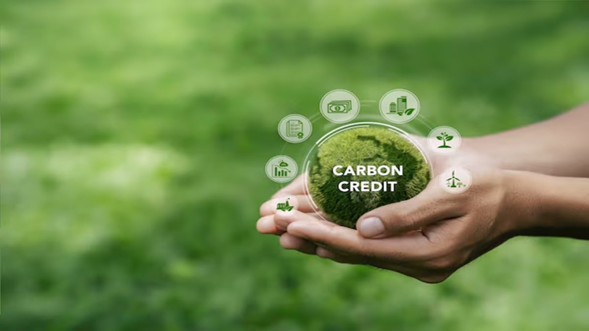 carbon market, Indian CCTS, PAT, carbon credit trading scheme, Amending the Energy Conservation Act