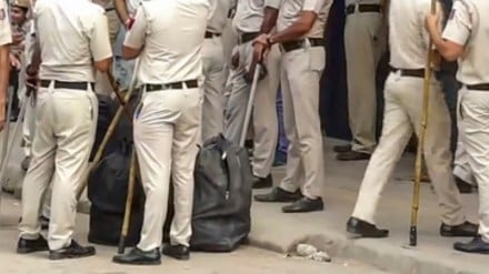 Goa Police seize Rs 11.67 crore worth of hydroponic weed in state’s biggest drug bust