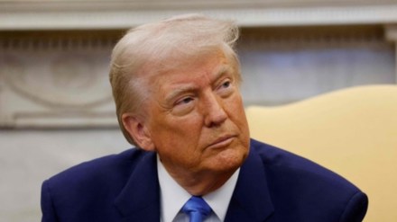 Viral post highlights silver lining in Trump's tariff war: 'I can drive cheaper Harleys and Teslas'