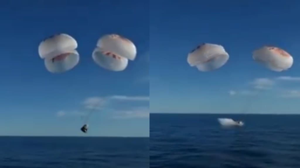 NASA astronauts Sunita Williams and Butch Wilmore have safely returned home NASA astronauts Sunita Williams and Butch Wilmore have safely returned home