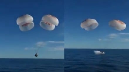 NASA astronauts Sunita Williams and Butch Wilmore have safely returned home NASA astronauts Sunita Williams and Butch Wilmore have safely returned home