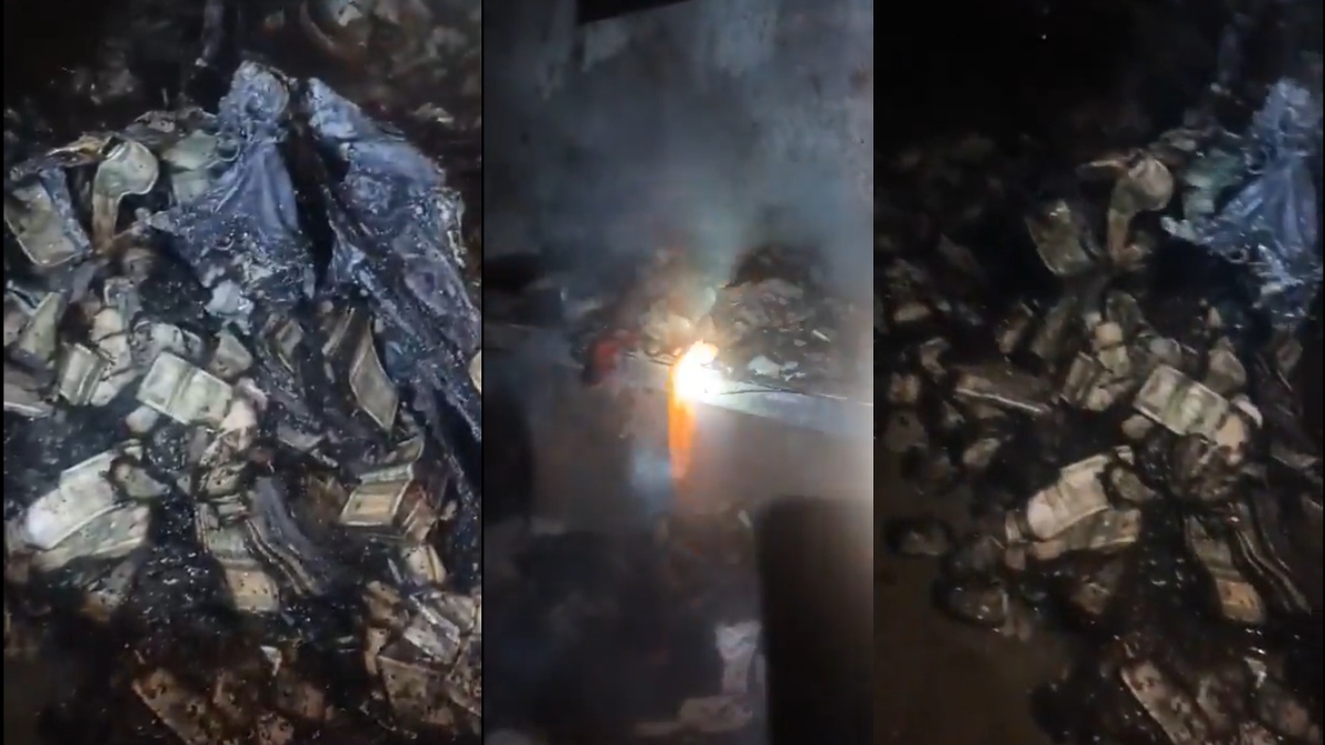 SC uploads video of burnt cash at Delhi HC Judge Yashwant Varma's residence; Netizens reacts SC uploads video of burnt cash at Delhi HC Judge Yashwant Varma's residence; Netizens reacts