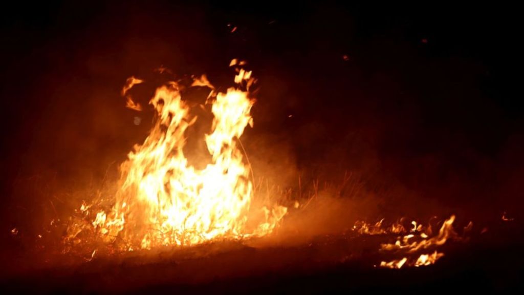fire pti