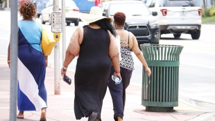 World Obesity Day 2025, World Obesity Day 2025 Theme, World Obesity Day 2025 History, World Obesity Day 2025 Significance, Obesity Causes, Reasons of Obesity, health news, wellness news,