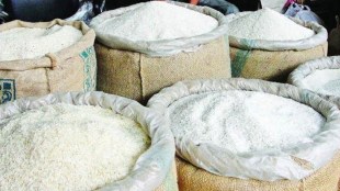 rice exports, economy, rice, export, Food Corporation of India, FCI