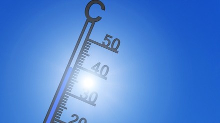 Health ministry urges states to strengthen action plans against heat-related illnesses