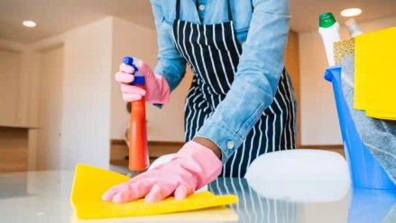 urban company insta maids