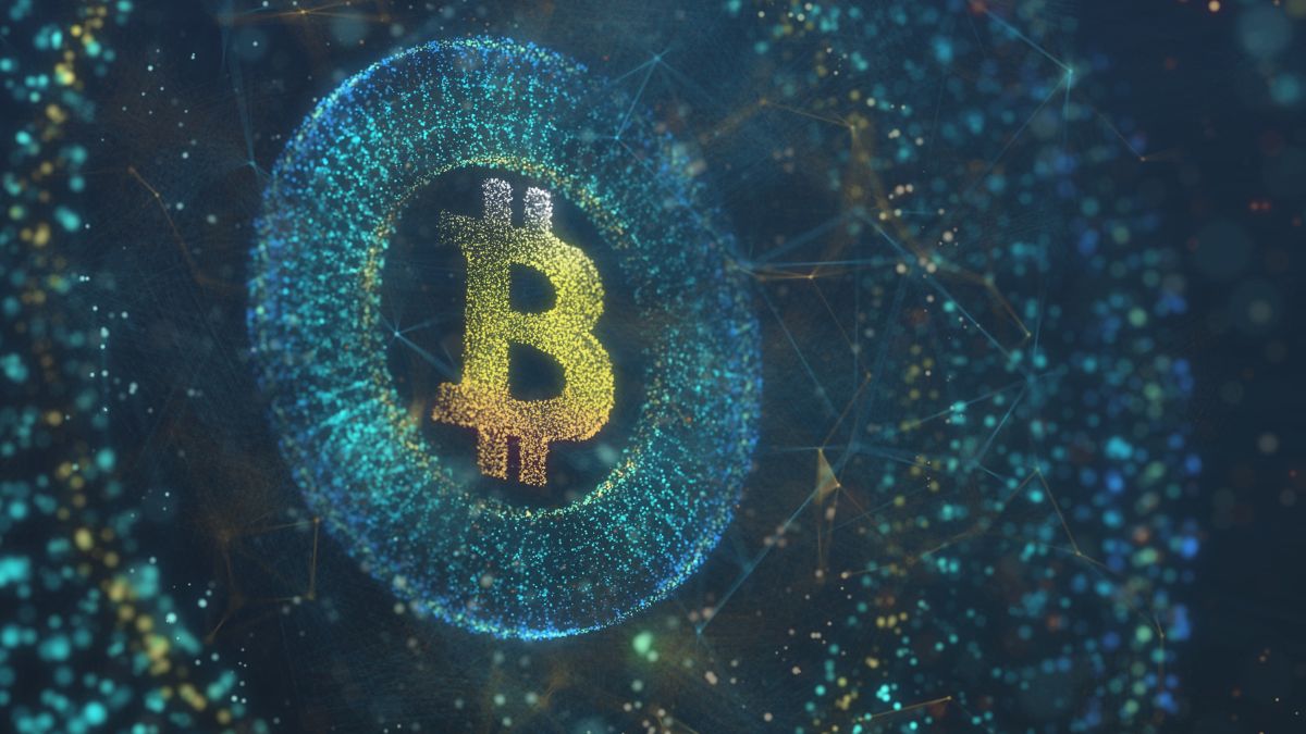 Bitcoin ledger, blockchain vs traditional databases, decentralized network, Bitcoin transaction storage, immutability in blockchain, how blockchain works, Bitcoin block explorer, network effects in crypto, centralized vs decentralized finance, Bitcoin data storage