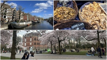 Cost of living in Amsterdam