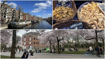 Cost of living in Amsterdam