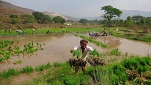 agriculture, economy, farmers, agri-economy, kisan credit cards