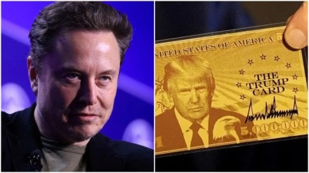 Musk's team of engineers are building a system for Trump’s $5 million 'Gold Card' Visas