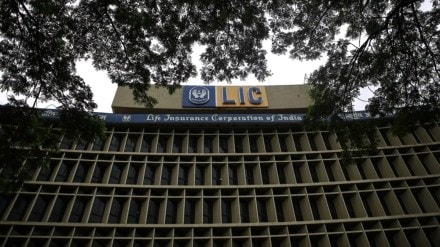 smallcap stocks, LIC-backed smallcap stocks, CARE Ratings, Dhanuka Agritech, Easy Trip Planners, best smallcap stocks, top smallcap stocks, smallcap stocks held by LIC, stocks held by LIC.