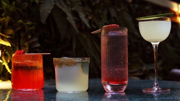 Zero-waste cocktail on the Earth Day 2025 at Monkey Bar, Delhi