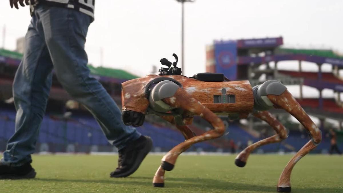 IPL 2025, robot dog in ipl, Rodog Cam, robotic dog IPL 2025, cricket, BCCI, IPL tech, Danny Morrison, Mumbai Indians vs Delhi Capitals, IPL toss robot, mi vs dc match robot dog