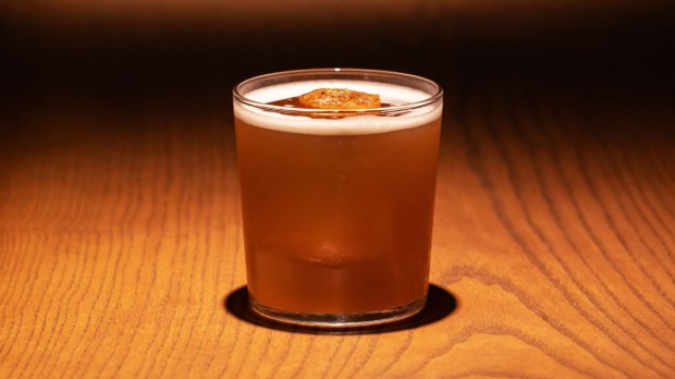 Earth Day 2025 on April 22, Ronil Goa’s zero-waste cocktail