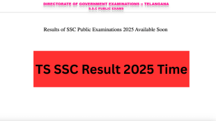 Telangana Board Class 10th Result: The BSE will announce Telangana SSC 10th Result at a revised time today, April 30. The board was to announce TS SSC Result at 1:00 PM today.