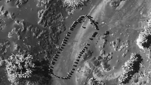 Trump video on Houthi strike