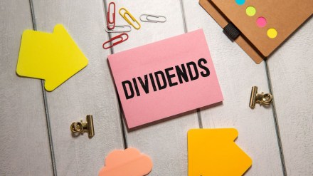 Schaeffler India dividend 2025, Schaeffler India record date, Schaeffler share price