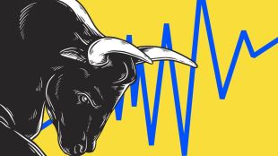 Indian stock market rally, Sensex surge, Nifty50 rise, banking stocks, foreign institutional investors